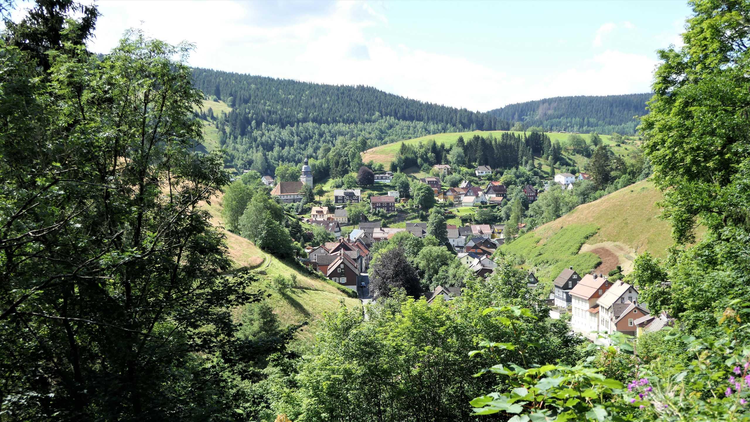 Blick auf die Bergstadt Wildemann
