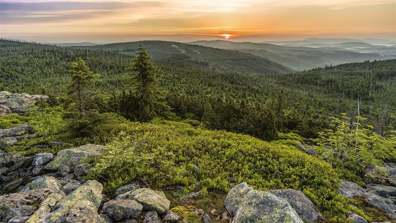 Sonnenaufgang am Lusen im Bayerischen Wald