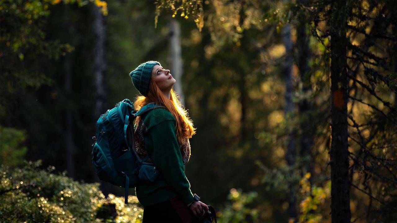 Entdecken und Genießen im Wald