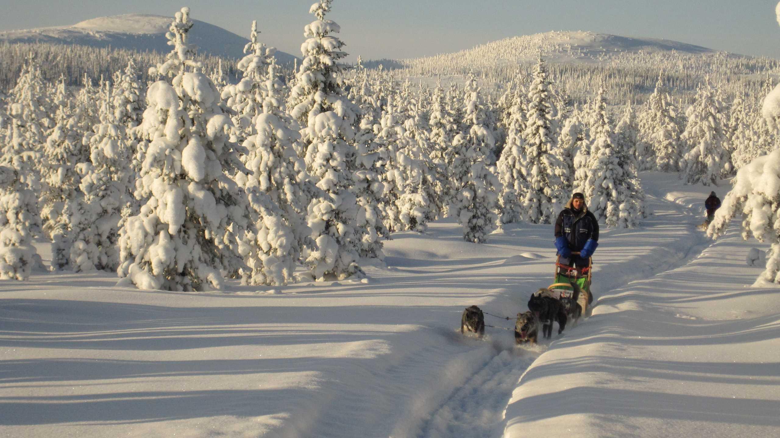 Aktivurlaub in Lappland