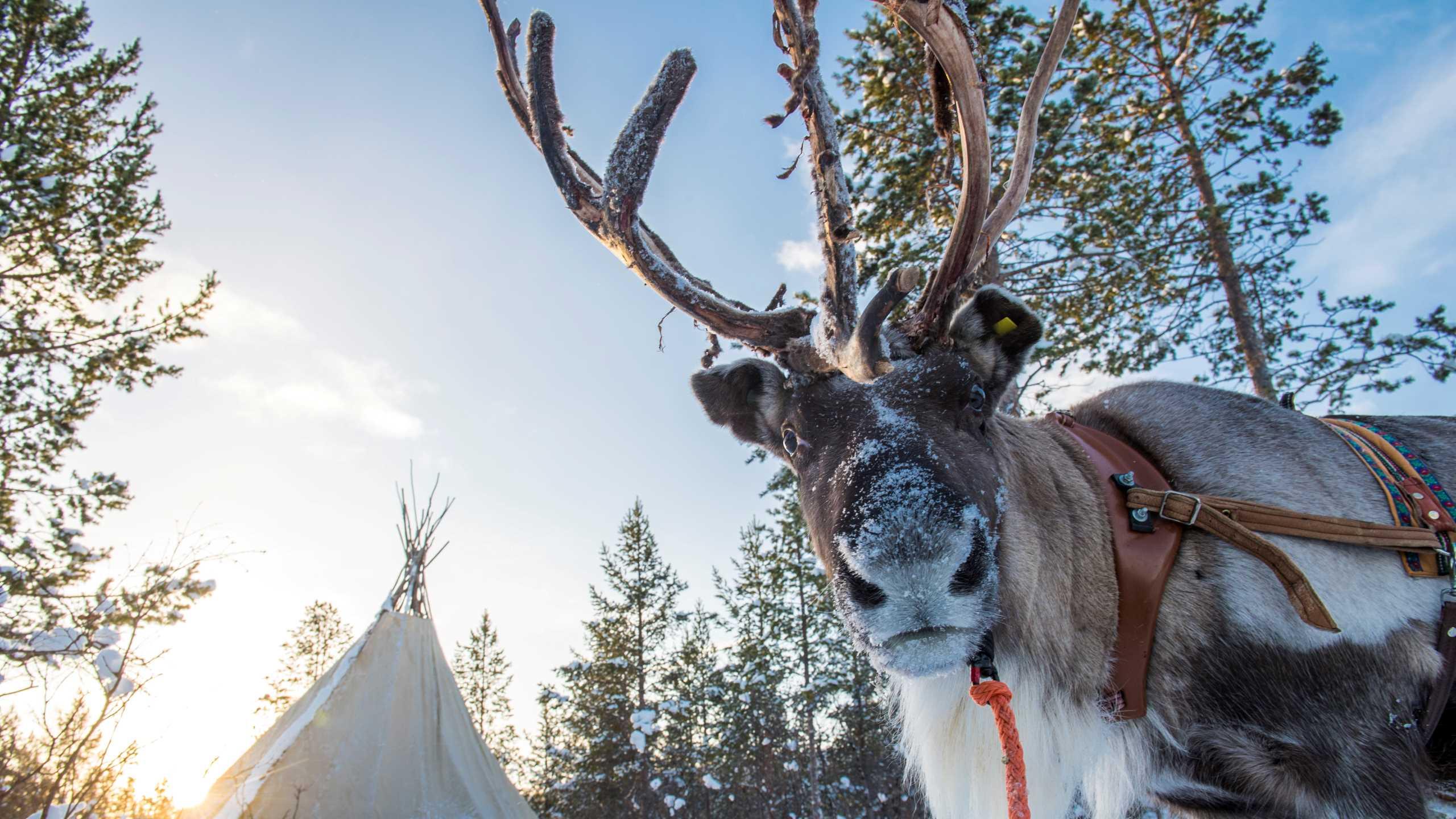 Utsjoki in finnisch Lappland