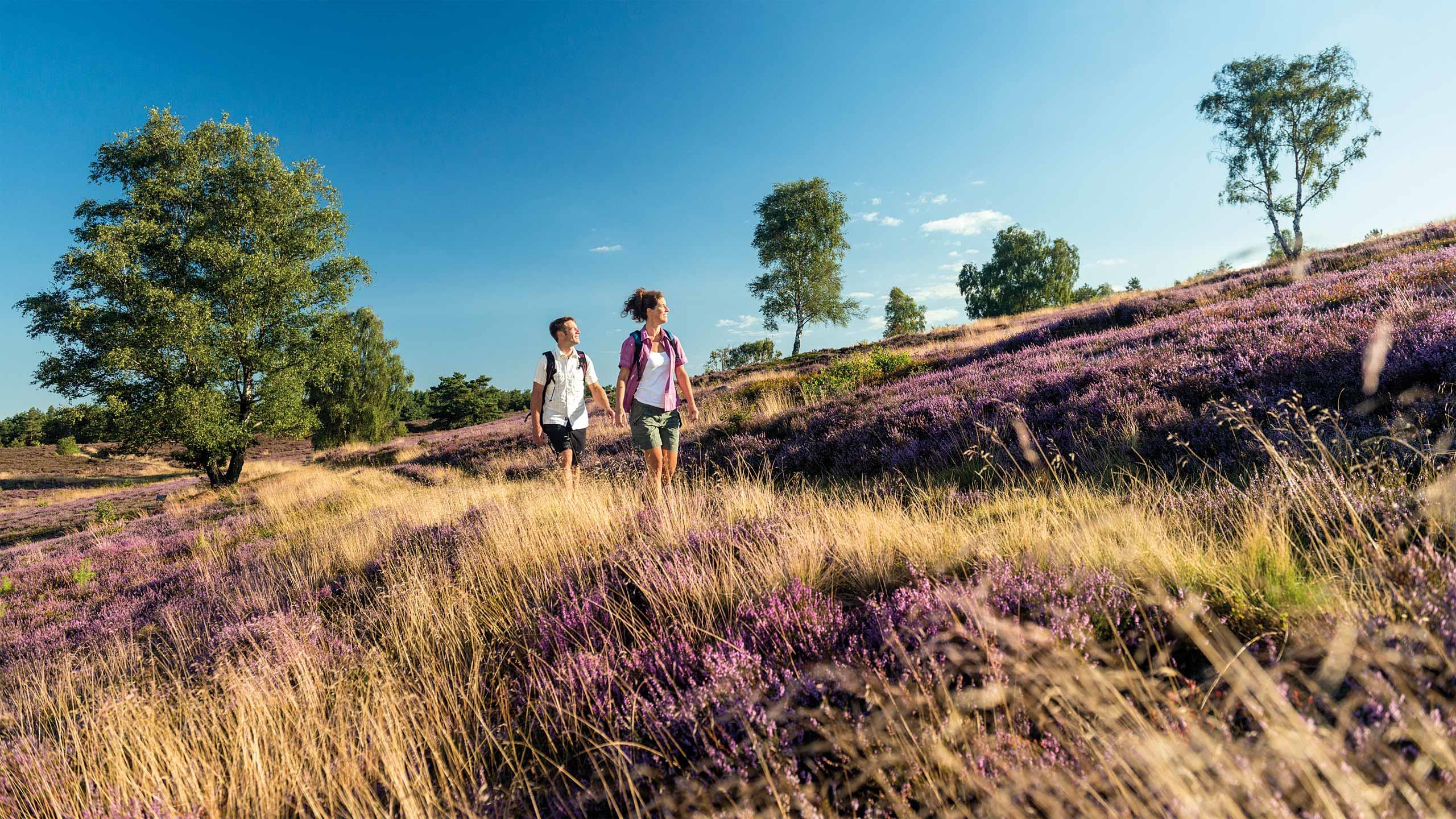 Wanderer in der Lüneburger Heide