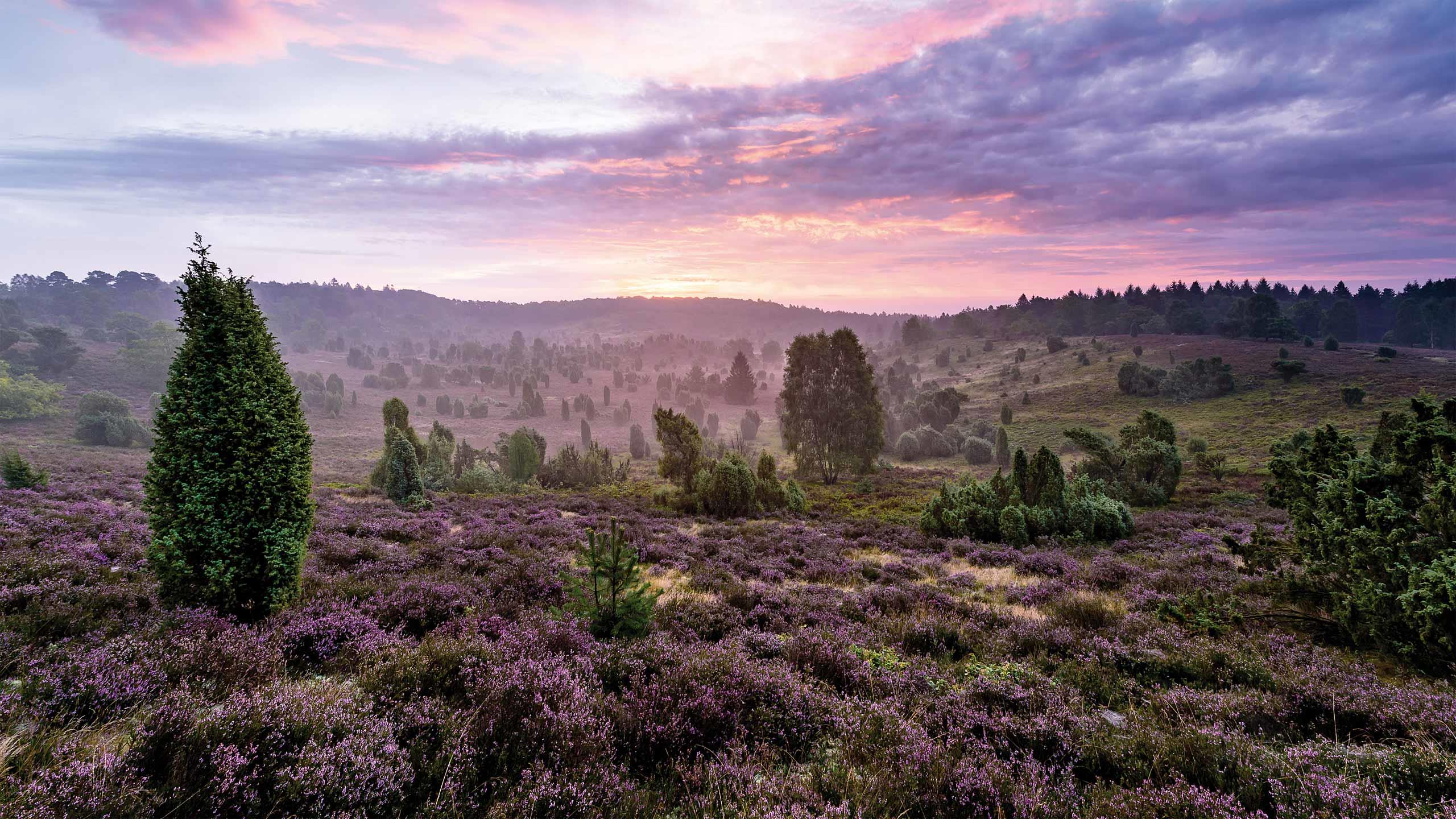 Lüneburger Heide: Totengrund